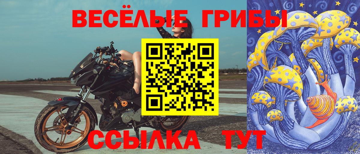 Галлюциногенные грибы MAGIC MUSHROOMS Новочебоксарск