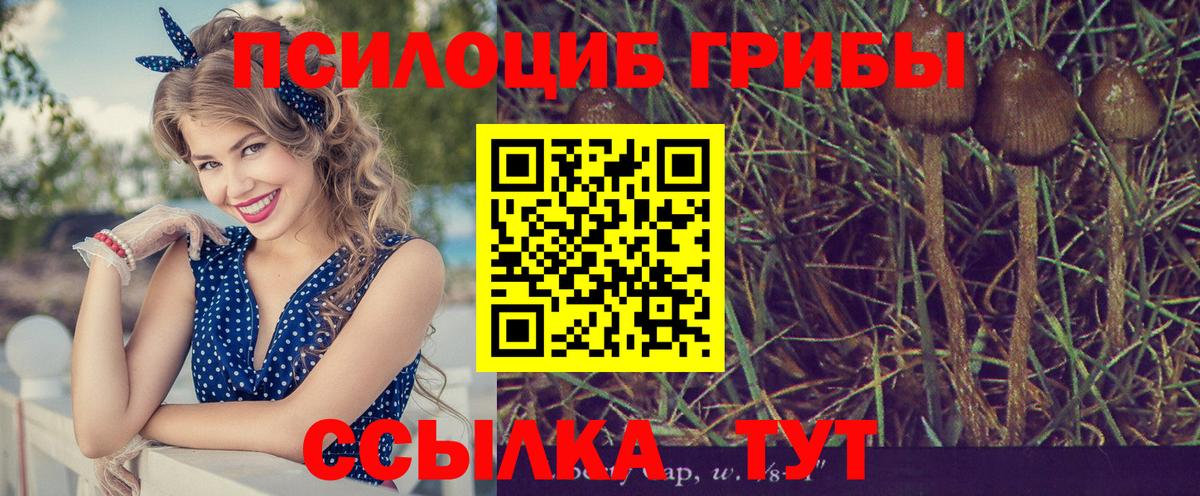 Псилоцибиновые грибы Psilocybe  Галлюциногенные грибы прущие грибы  Новочебоксарск  Вход с VPN 